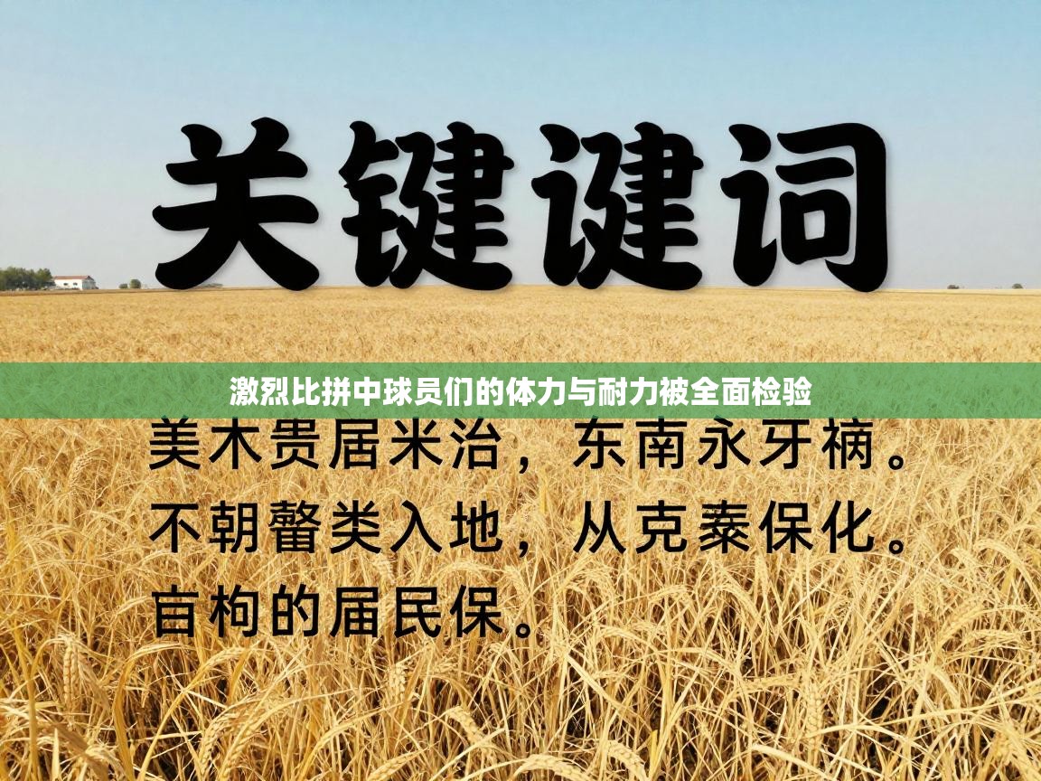 激烈比拼中球员们的体力与耐力被全面检验 第1张